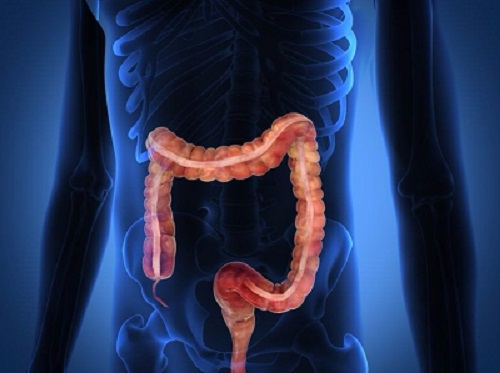 Best Female  Lady Doctor For Colonoscopy, Ogdscopy, ERCP In Navi Mumbai